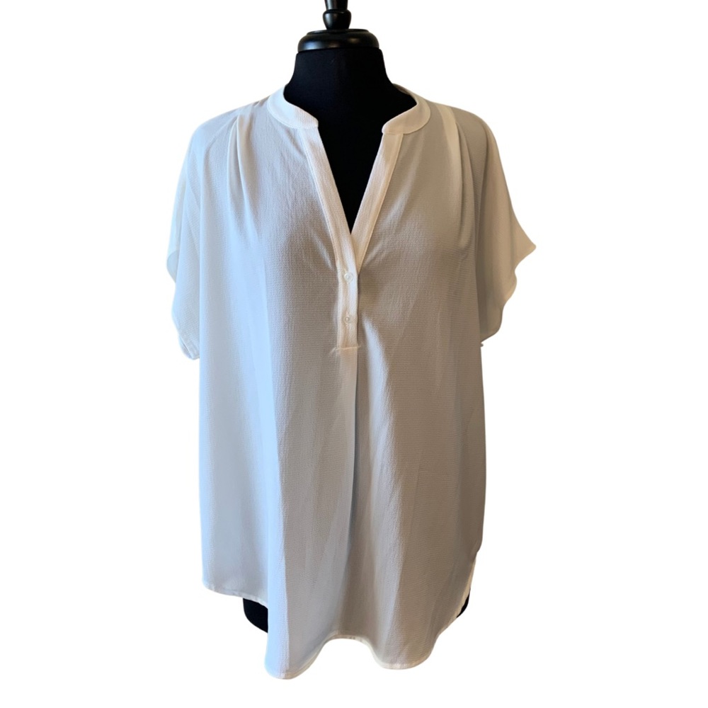 ALLISON JOY Cream Blouse Size XL Dolman Sleeve Semi-Sheer Evereve